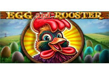 Rooster